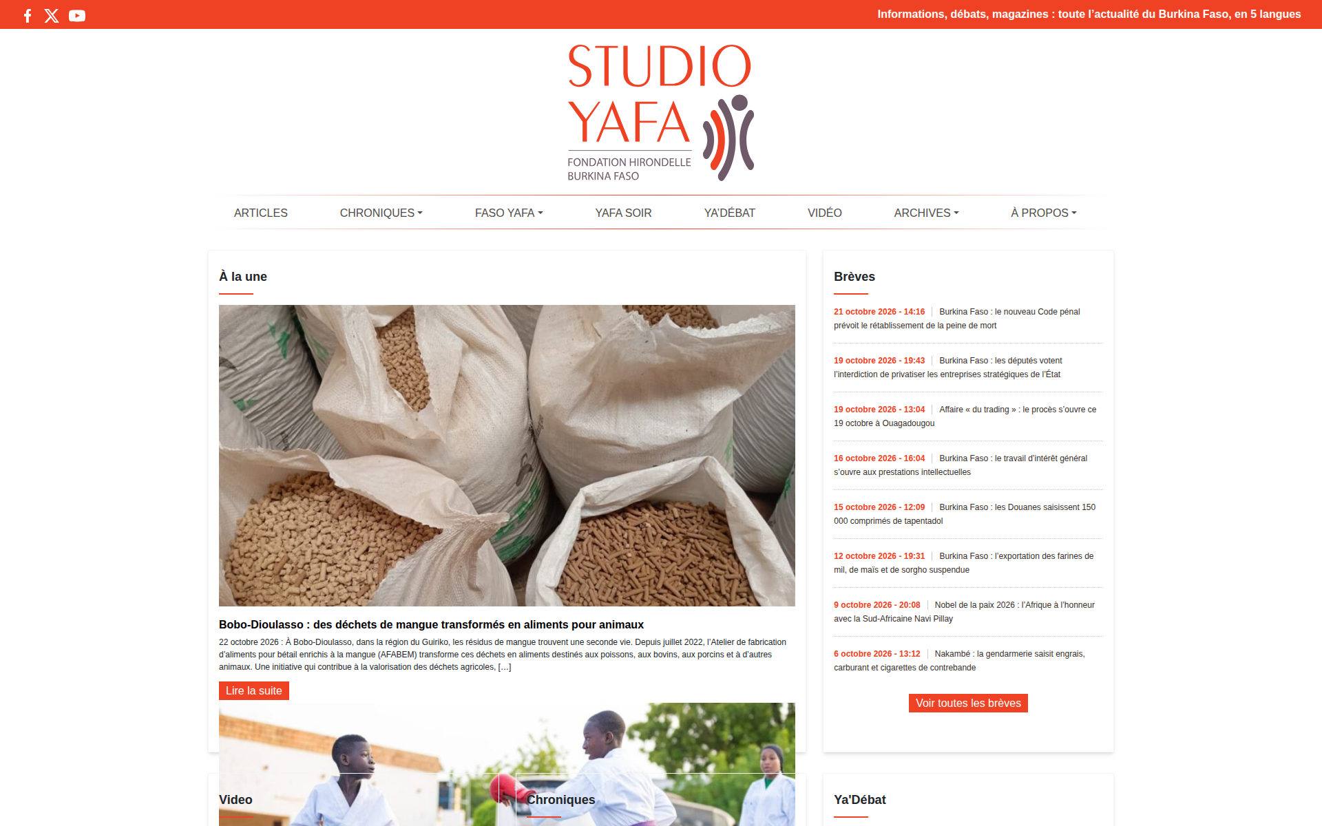 studioyafa.bf 主页截图