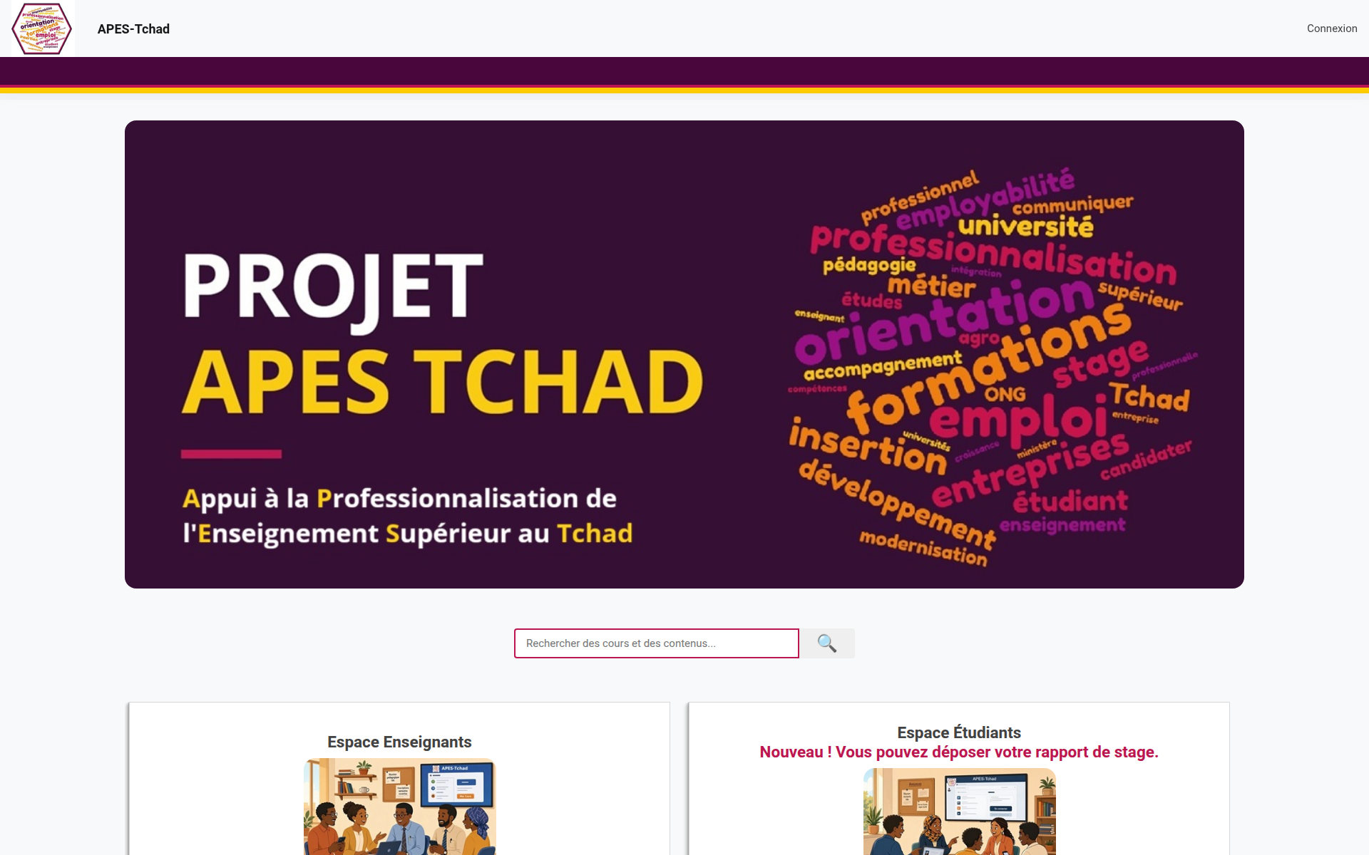 apes-tchad.org 主页截图