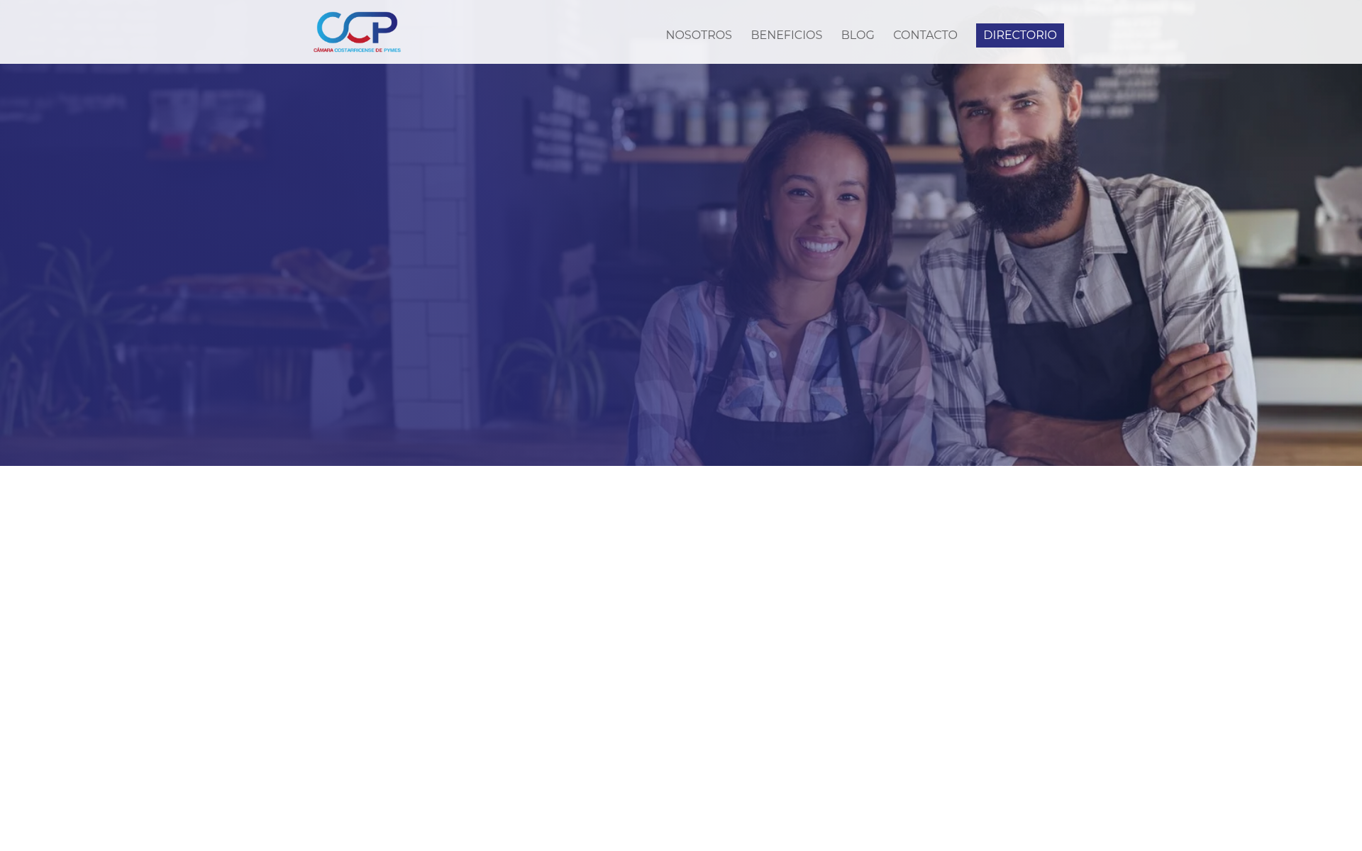 ccpymescr.org 主页截图