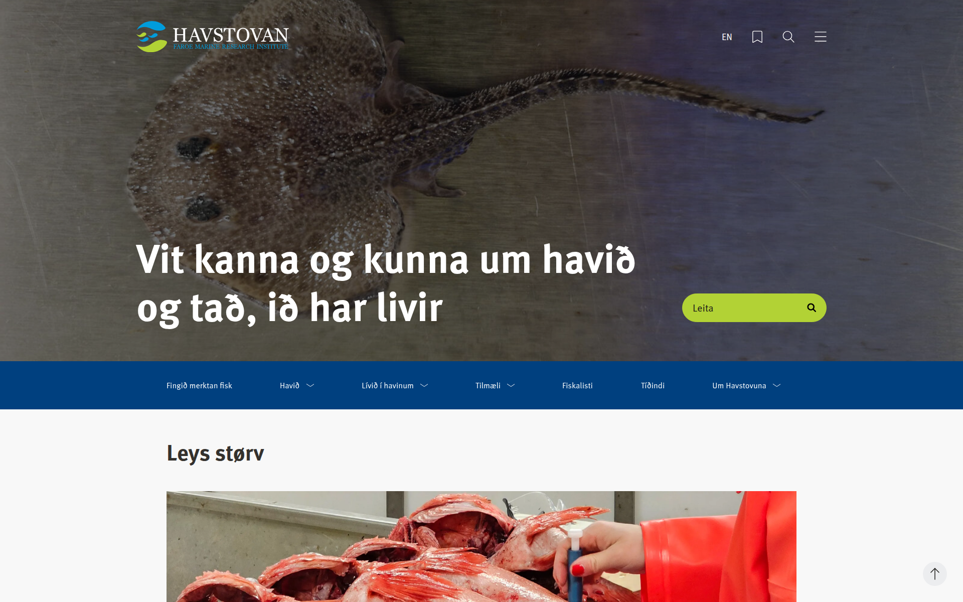 hav.fo 主页截图