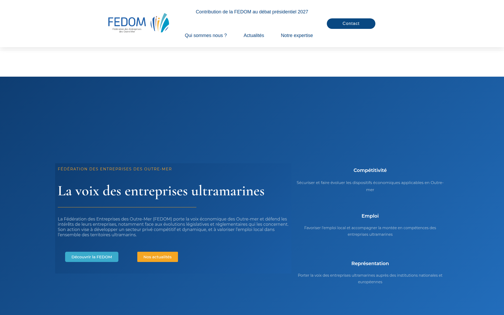 fedom.org 主页截图
