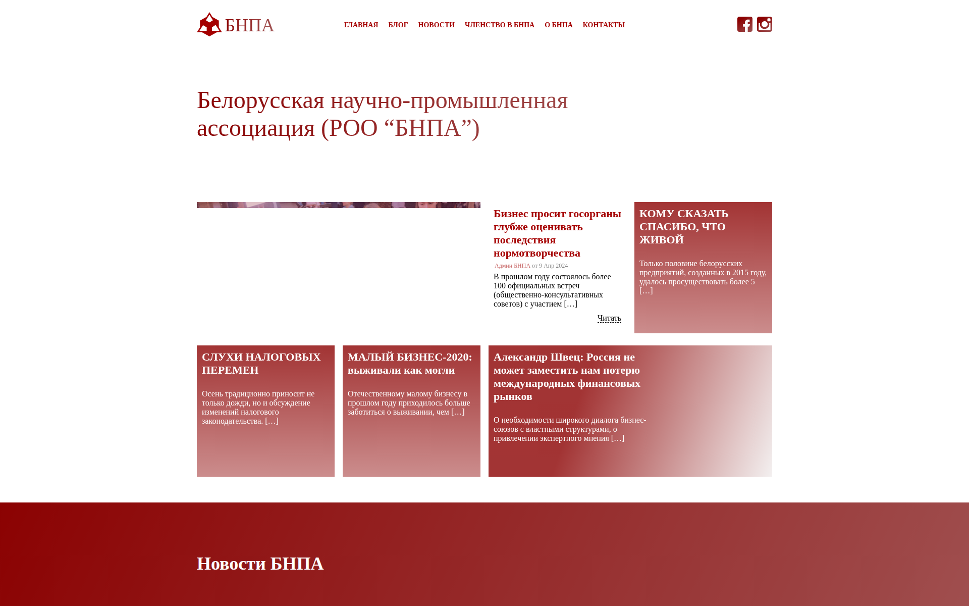 bnpa.info 主页截图