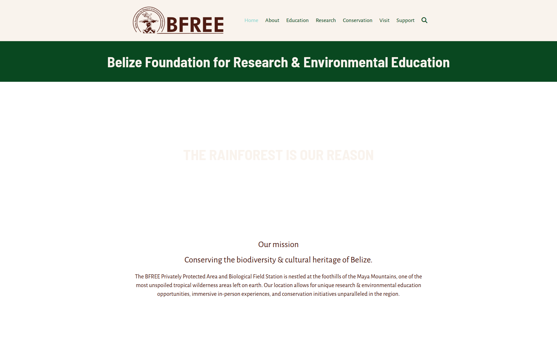 bfreebz.org 主页截图