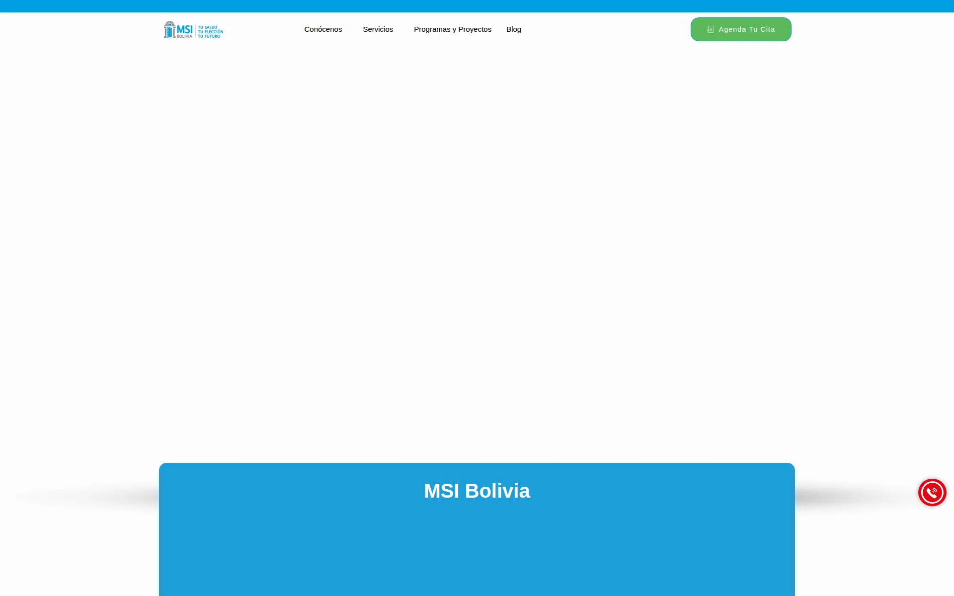 msibolivia.org 主页截图