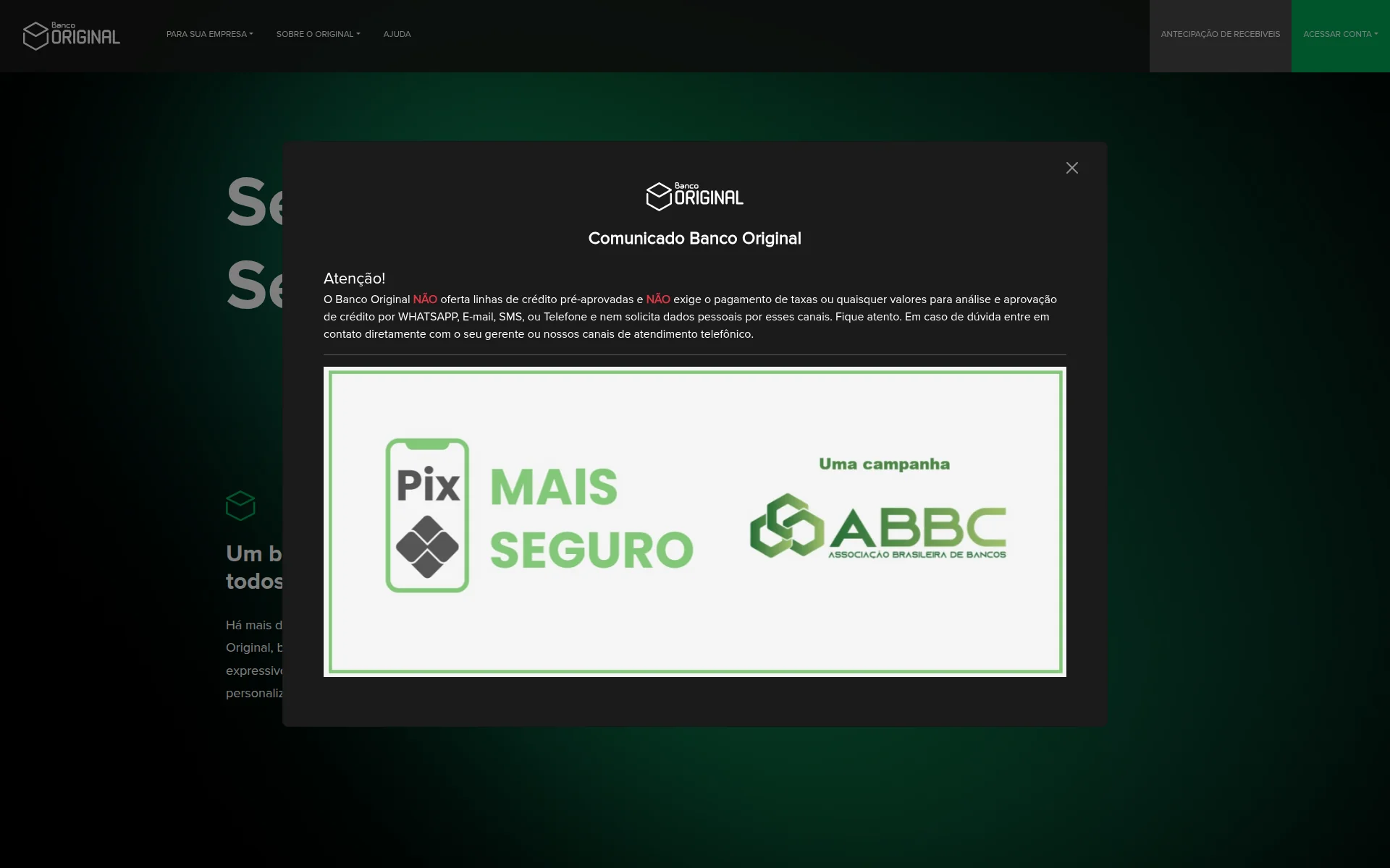 original.com.br 主页截图