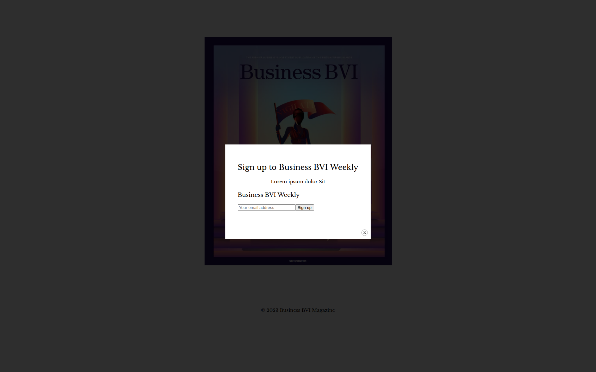 businessbvimagazine.com 主页截图
