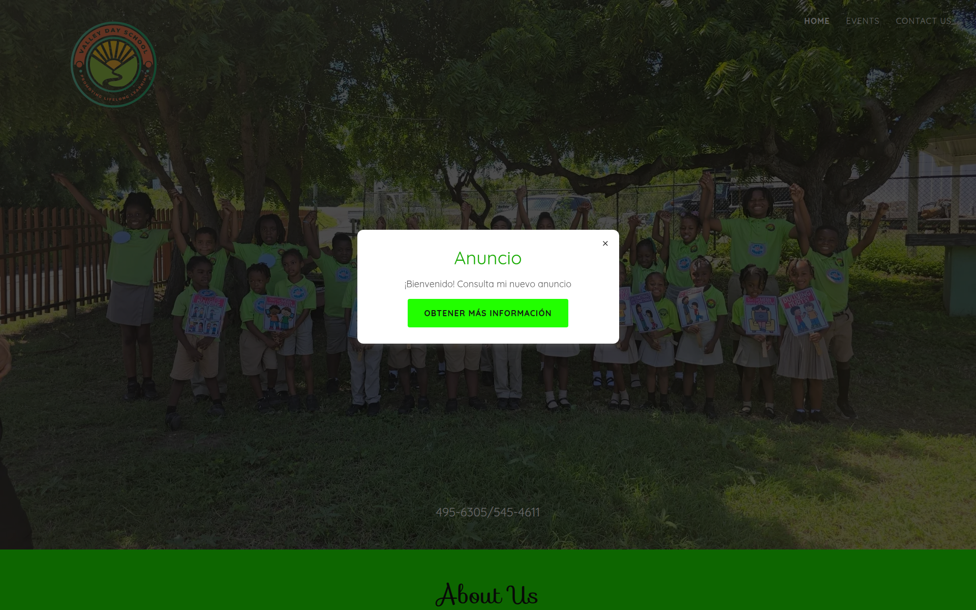valleydayschool.vg 主页截图