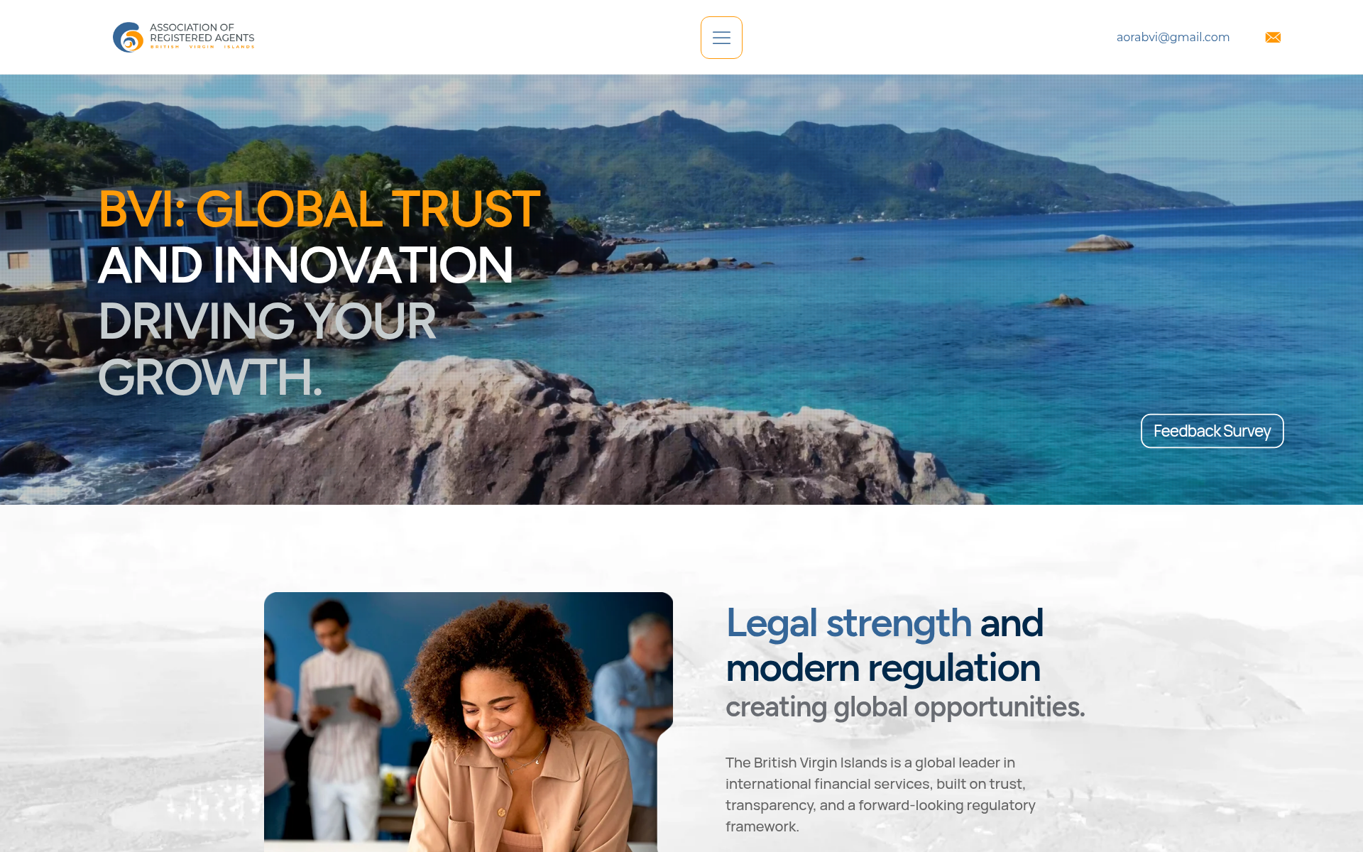arabvi.com 主页截图