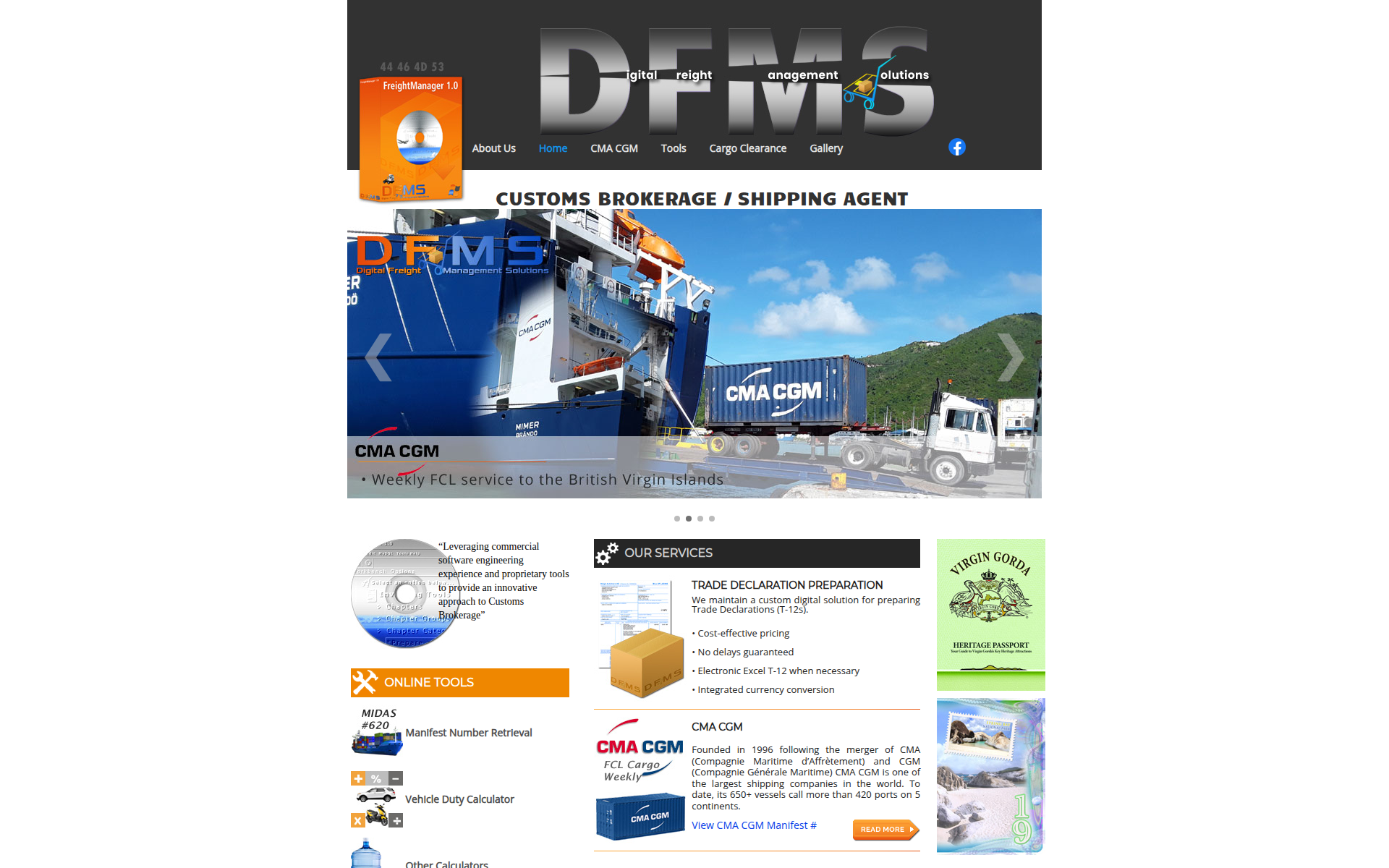 dfmsbvi.com 主页截图