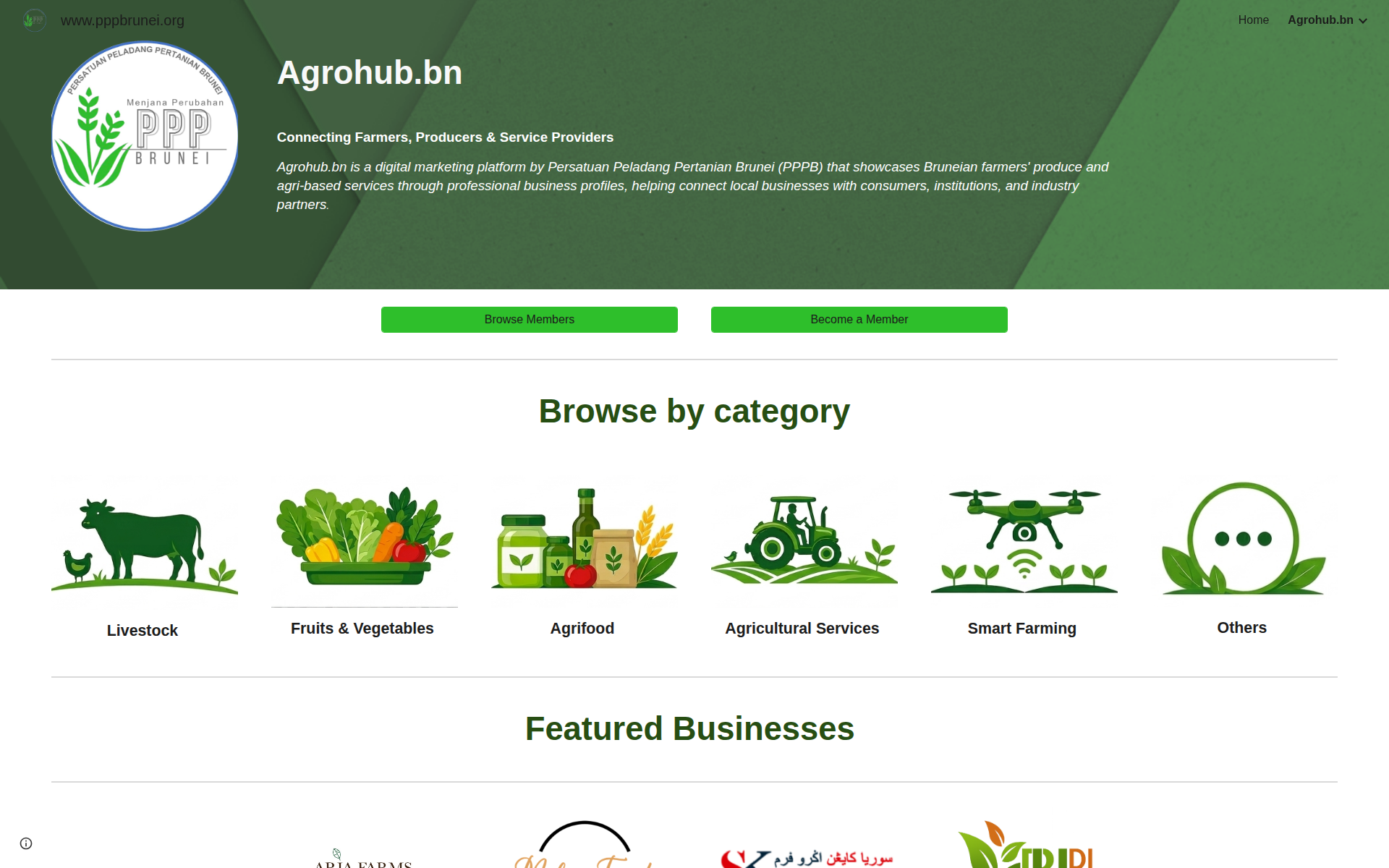 pppbrunei.org 主页截图